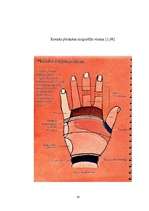 Referāts 'Refleksoloģija un tās ietekme uz cilvēka organismu', 35.