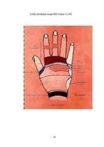 Referāts 'Refleksoloģija un tās ietekme uz cilvēka organismu', 36.