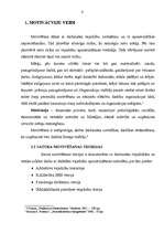 Referāts 'Motivēšanas un stimulēšanas iespējas izglītības iestādē', 2.