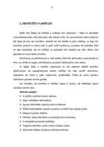 Referāts 'Motivēšanas un stimulēšanas iespējas izglītības iestādē', 15.