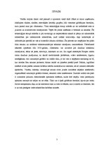 Referāts 'Lokālo un globālo tīklu uzbūve', 3.