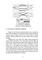 Referāts 'Lokālo un globālo tīklu uzbūve', 15.