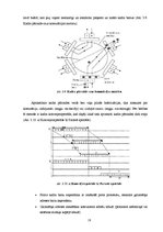Referāts 'Lokālo un globālo tīklu uzbūve', 18.