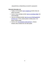 Referāts 'Lokālo un globālo tīklu uzbūve', 33.