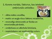 Prezentācija 'Dažādu nelabvēlīgu faktoru ietekme uz embrionālo attīstību', 6.