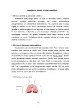 Referāts 'Smēķēšanas ietekme uz cilvēka veselību', 4.