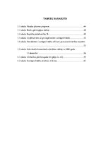 Diplomdarbs 'AS "Latvijas Unibanka" kredītpolitikas realizācijas analīze reģionālajā griezumā', 4.