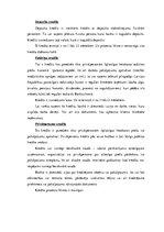 Diplomdarbs 'AS "Latvijas Unibanka" kredītpolitikas realizācijas analīze reģionālajā griezumā', 36.