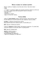 Referāts 'Viesnīcas ”Akvārijs” finanšu rādītāju analīze', 4.