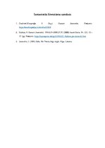 Referāts 'Cilvēks dzīves virpuļos Gunara Janovska romānā "Sōla"', 6.