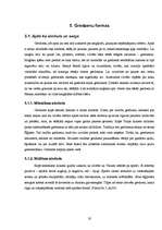 Referāts 'Gredzens cauri gadsimtiem', 20.