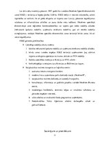 Referāts 'Uzņēmējdarbības atbalsta politikas analīze Latgales reģionā', 11.