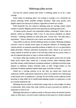 Eseja 'Mārketinga plāna nozīme', 2.