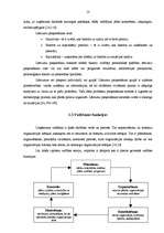 Diplomdarbs 'Vadīšanas procesu pilnveidošana uzņēmumā "X"', 13.