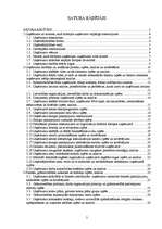 Prakses atskaite 'Prakses atskaite SIA "Baltic Consalting Company"', 2.