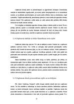 Prakses atskaite 'Prakses atskaite SIA "Baltic Consalting Company"', 19.