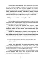 Prakses atskaite 'Prakses atskaite SIA "Baltic Consalting Company"', 22.