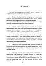 Prakses atskaite 'Prakses atskaite SIA "Baltic Consalting Company"', 33.