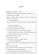 Referāts 'Alternatīvais transports Rīgā', 2.