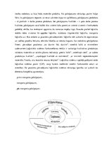 Referāts 'Alternatīvais transports Rīgā', 4.