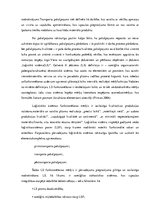 Referāts 'Alternatīvais transports Rīgā', 7.