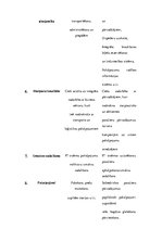 Referāts 'Alternatīvais transports Rīgā', 10.