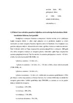 Referāts 'Alternatīvais transports Rīgā', 11.