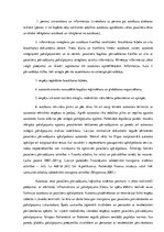 Referāts 'Alternatīvais transports Rīgā', 13.