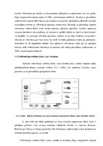 Referāts 'Alternatīvais transports Rīgā', 17.