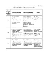 Referāts 'Alternatīvais transports Rīgā', 24.