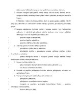 Referāts 'Alternatīvais transports Rīgā', 26.