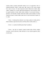 Referāts 'Alternatīvais transports Rīgā', 30.