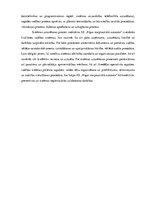 Referāts 'Alternatīvais transports Rīgā', 32.