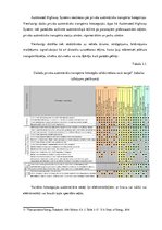 Referāts 'Alternatīvais transports Rīgā', 40.