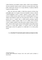 Referāts 'Alternatīvais transports Rīgā', 51.