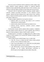 Referāts 'Alternatīvais transports Rīgā', 52.