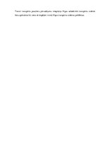 Referāts 'Alternatīvais transports Rīgā', 65.