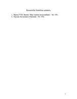 Konspekts 'Austrālijas aborigēnu tetovēšanas māksla', 5.