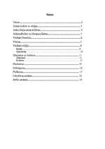 Referāts 'Indijas reliģijas un kultūra', 2.