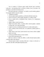 Prakses atskaite 'Uzņēmuma darbības raksturojums. Prakses atskaite uzņēmējdarbības vadībā', 13.