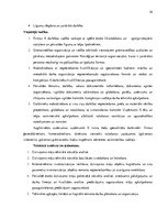 Prakses atskaite 'Uzņēmuma darbības raksturojums. Prakses atskaite uzņēmējdarbības vadībā', 16.