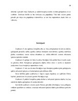 Prakses atskaite 'Uzņēmuma darbības raksturojums. Prakses atskaite uzņēmējdarbības vadībā', 29.