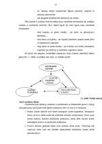 Diplomdarbs 'Maksājumu karšu un biznesa attīstība Latvijā', 20.