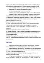 Referāts 'Brīvās ekonomiskās zonas Latvijā', 10.