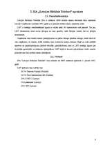 Referāts 'SIA "Latvijas Mobilais Telefons" raksturojums', 4.