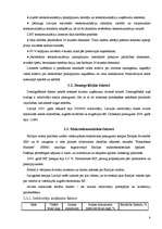 Referāts 'SIA "Latvijas Mobilais Telefons" raksturojums', 8.