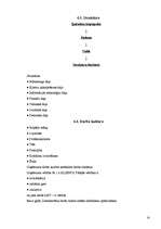 Referāts 'SIA "Latvijas Mobilais Telefons" raksturojums', 14.