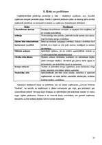 Referāts 'SIA "Latvijas Mobilais Telefons" raksturojums', 20.