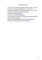 Referāts 'SIA "Latvijas Mobilais Telefons" raksturojums', 21.