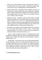 Referāts 'Māsu zināšanas par pārsēju izmantošanu brūču aprūpē', 11.